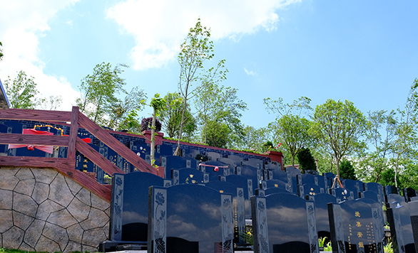 ��԰����